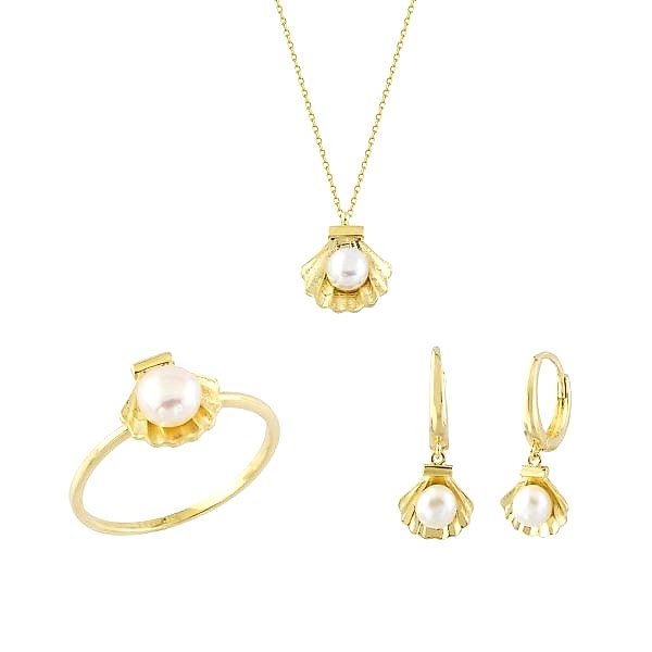 İstiridye 3'lü Set